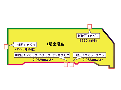 1期空港島建設時の藻場造成
