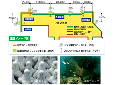 2期空港島建設時の藻場造成