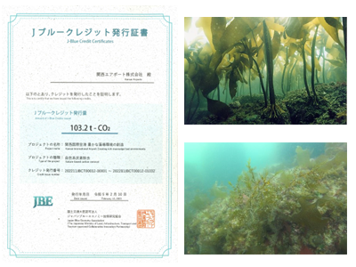 Jブルークレジットの認証