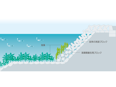 緩傾斜石積護岸の採用